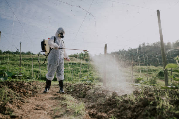 Best Commercial Pest Control Services  in Jonestown, TX