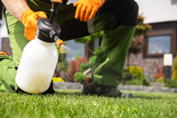 Best Local Pest Control Services  in Jonestown, TX