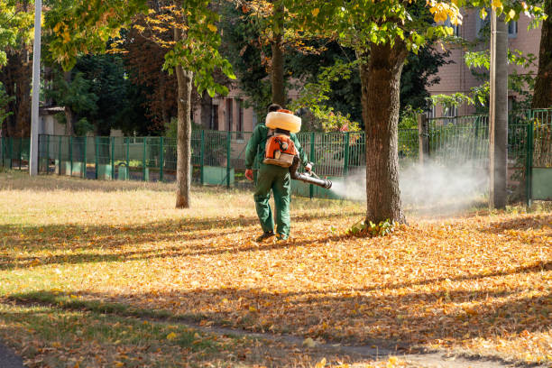 Best Affordable Pest Control Services  in Jonestown, TX