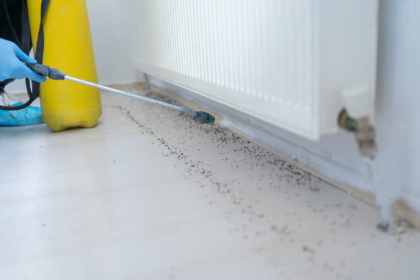 Best Exterminator Services  in Jonestown, TX